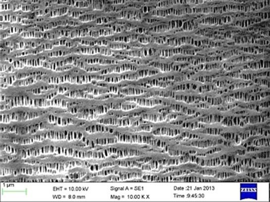 8dd64035abbd6d6dfd416681254a7499